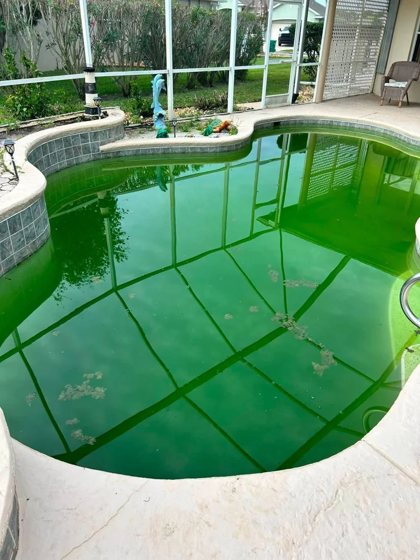 Before: Green-to-Clean Treatment