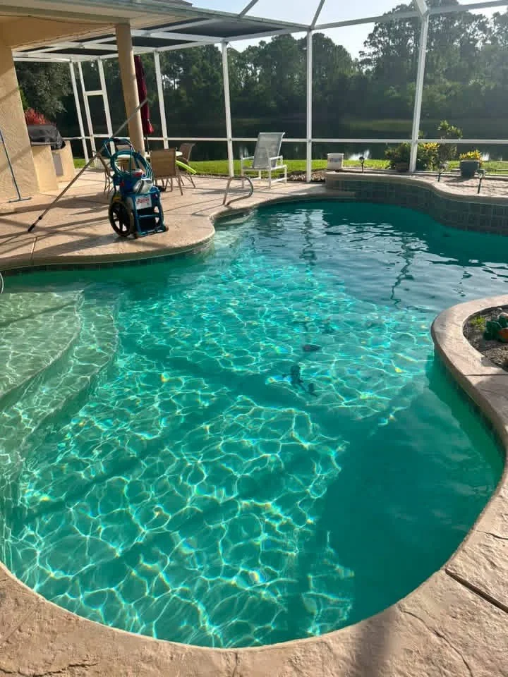 Screened pool after Green-to-Clean treatment