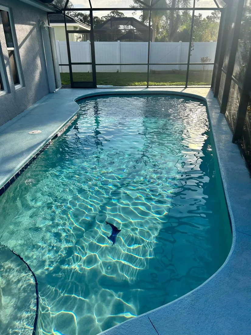 Pool cared for by Crown Pools